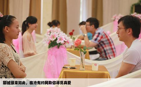 聊城缘来如此，临沧有约网助你寻觅真爱