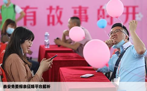 泰安免费相亲征婚平台解析