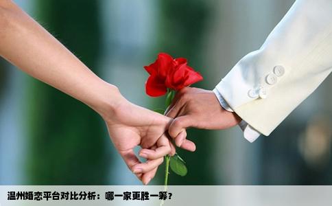 温州婚恋平台对比分析：哪一家更胜一筹？