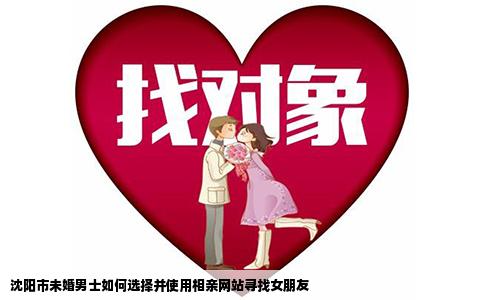 沈阳市未婚男士如何选择并使用相亲网站寻找女朋友