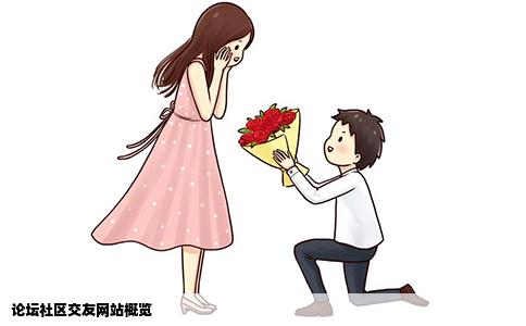 论坛社区交友网站概览