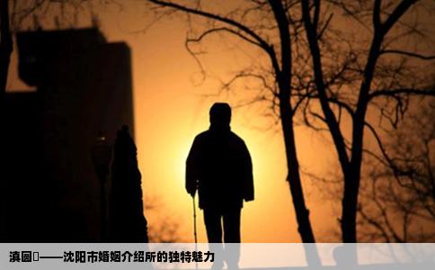 滇圆囍——沈阳市婚姻介绍所的独特魅力