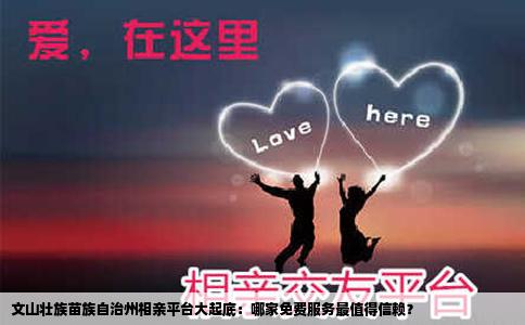 文山壮族苗族自治州相亲平台大起底：哪家免费服务最值得信赖？