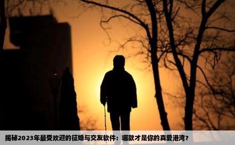揭秘2023年最受欢迎的征婚与交友软件：哪款才是你的真爱港湾？