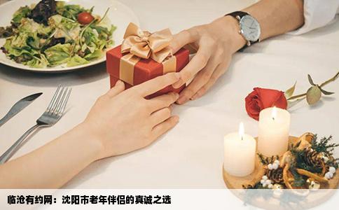临沧有约网：沈阳市老年伴侣的真诚之选