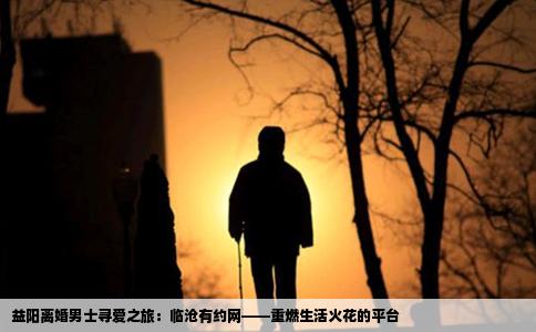 益阳离婚男士寻爱之旅：临沧有约网——重燃生活火花的平台