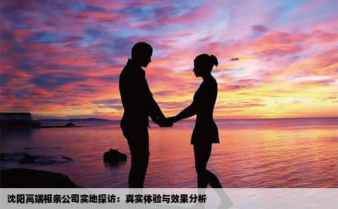 沈阳高端相亲公司实地探访：真实体验与效果分析