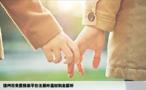 锦州市免费相亲平台注册所需材料全解析
