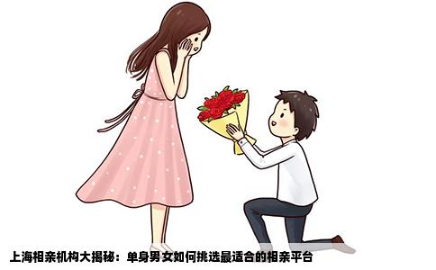 上海相亲机构大揭秘：单身男女如何挑选最适合的相亲平台
